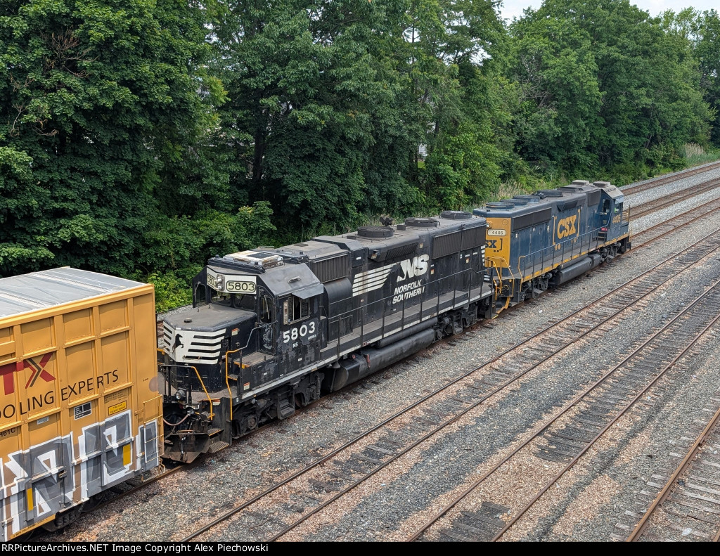 NS 5803